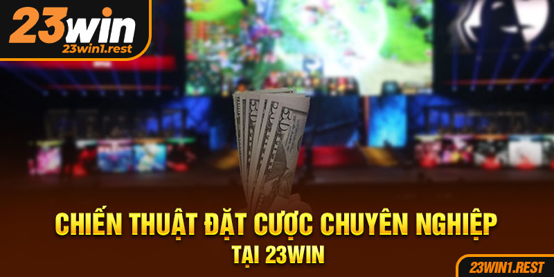 Chien Thuat Dat Cuoc Chuyen Nghiep Tai 23Win
