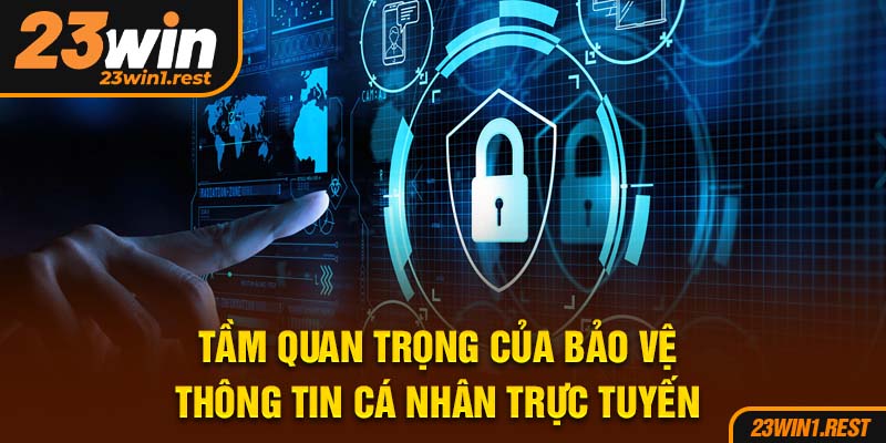 Tam Quan Trong Cua Bao Ve Thong Tin Ca Nhan Truc Tuyen