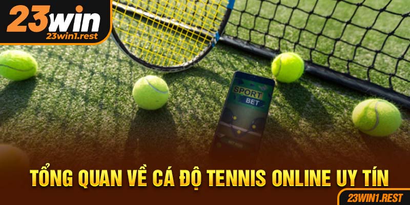 Tong Quan Ve Ca Do Tennis Online Uy Tin