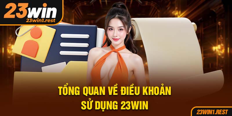 Tong Quan Ve Dieu Khoan Su Dung 23Win